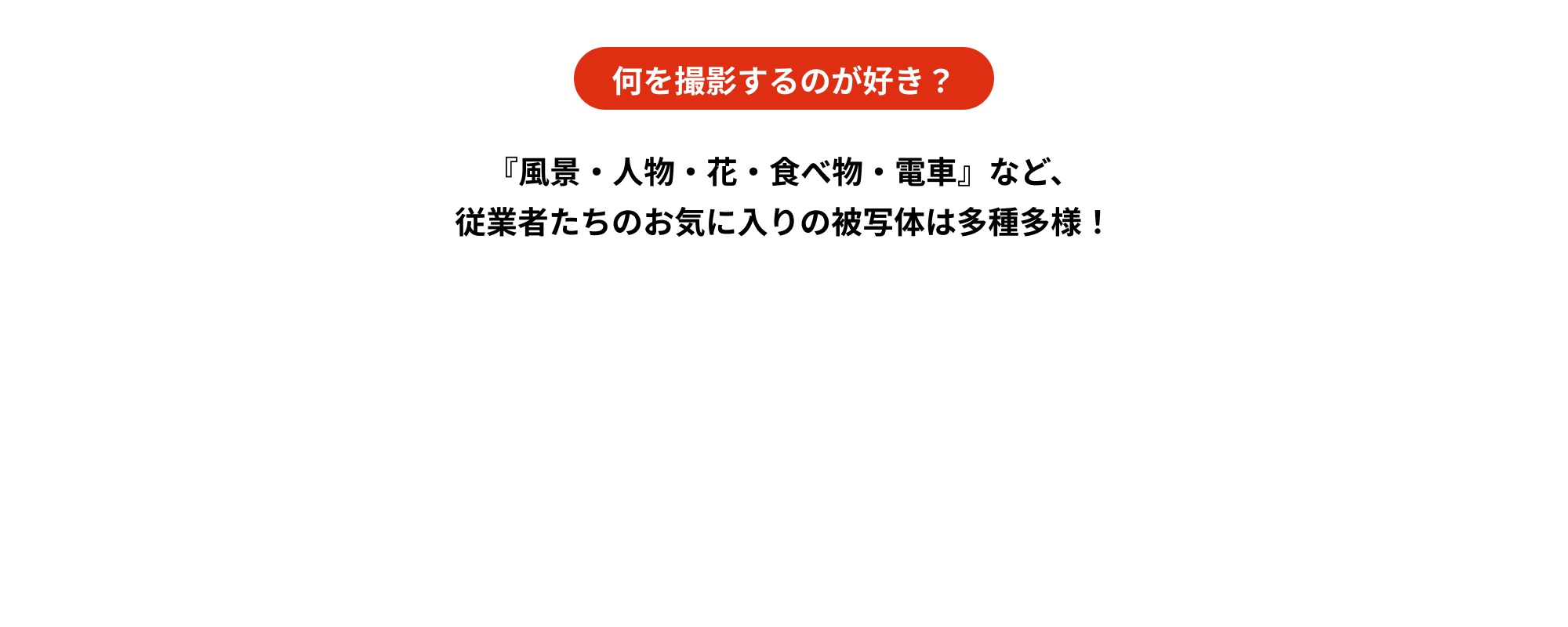 何を撮影するのが好き？