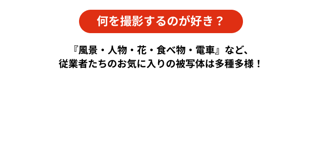 何を撮影するのが好き？